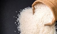 نوسان قیمت برنج ایرانی از ۱۹۰ تا ۳۲۰ هزار تومان