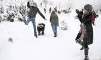 حرکت شاد چند هموطن در برف که همه را سر ذوق آورد