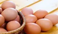 یک باور غلط درباره تخم‌مرغ قهوه‌ای