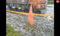 ویدئویی از واژگونی کامیون حمل مار