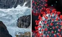 کشف بیشتر از ۱۰۰۰ ویروس‌ ناشناخته در چین
