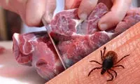 شناسایی ۱۱ مورد ابتلا به تب کریمه در یک استان