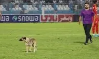 ویدیویی از لحظات بامزه لیگ برتر در سال ۱۴۰۲