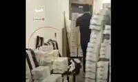 کشف ۱۵ میلیون دلار از منزل خانم نماینده