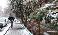 برف و باران از فردا مهمان این استان‌ها می‌شود