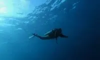 رکورد زندگی در زیر آب شکسته شد
