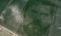 تصویری از چهره مسی روی زمین کشاورزی!