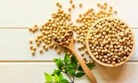 ۵ خاصیت بی‌نظیر یک پروتئین گیاهی