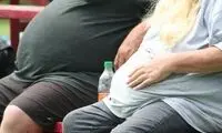 یکی از اصلی‌ترین دلایل چاقی کشف شد