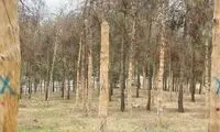 کنایه سنگین به شعار بحث‌برانگیزِ شهرداری تهران 