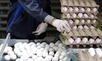 قیمت یک عدد تخم مرغ عجیب شد!