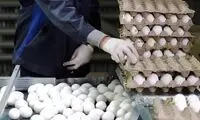 قیمت یک عدد تخم مرغ عجیب شد!