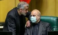 وقتی یک «نماینده‌ زاده» دسته‌گل به آب داد
