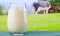 این ۶ ماده غذایی هرگز نباید با شیر ترکیب شوند