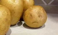 سورپرایز‌های جالب و خنده‌دار طبیعت