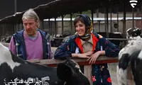 موفقیت فیلم های هنری در سینما آنلاین فیلم‌نت