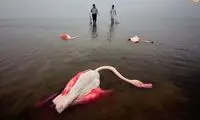 تصاویری غم‌انگیز که تاثیر عمیقی می‌گذارند