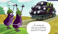 بادمجون خیلی لوکس در حد موز!