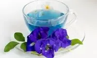 این گیاه بهترین دارو برای ورم روده و التهاب کلیه