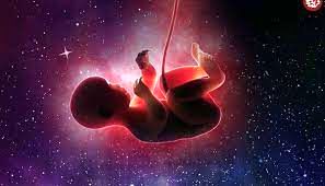 اولین نوزاد فضایی چه زمانی به‌ دنیا خواهد آمد؟ 
