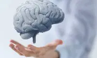 پیر شدن مغزتان را اینگونه به عقب بیندازید