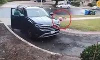 حمله هولناک یک روباه به دختر دو ساله