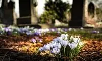ببینید؛ روش ترسناک و چندش‌آور برای نجات زمین!