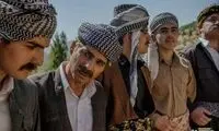 اکران «درخت گردو» در کردستان