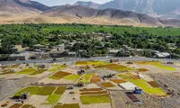 سفر به ملایر، شهر جهانی انگور