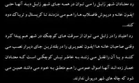 عکس: دود شدن اموال عمومی به خاطر مواد