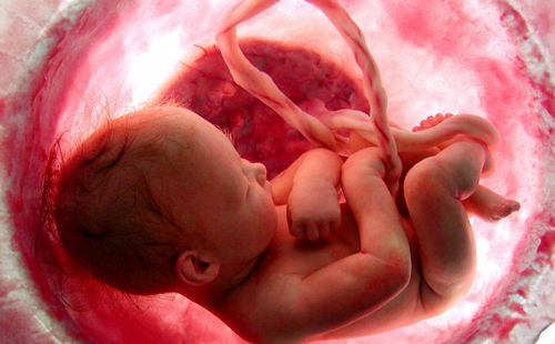 ۵ باور رایج در مورد جنین و مادران باردار