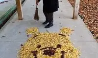 هنرنمایی ژاپنی ها با برگ های پاییزی