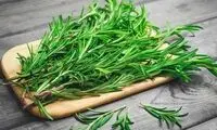 خواص جادویی رزماری برای مو