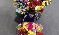 زیبایی فروشندگان خیابانی هانوی
