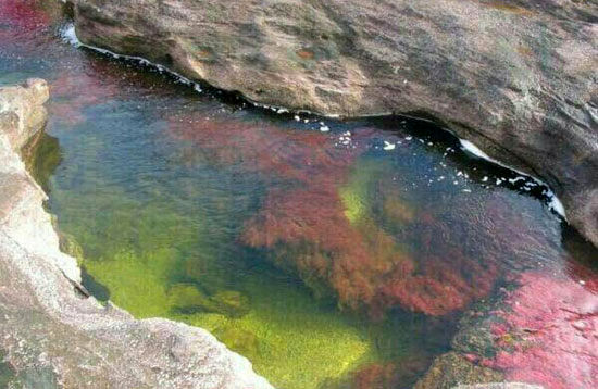 زیباترین رودخانه جهان در 5 رنگ +عکس