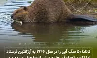 دانستنی‌های جالب (۲۶۹)