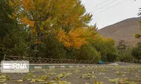 تصاویر؛ بازی رنگ‌ها در طبیعت پاییزی عباس‌آباد