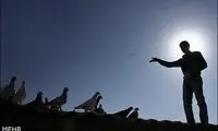 گزارش تصویری: کفتر بازی تهرانی ها!
