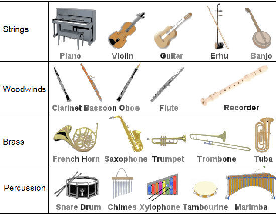 کدام ساز موسیقی را برای نواختن انتخاب کنیم؟