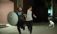 فیلم «لونه زنبور» آذر امسال اکران می‌شود