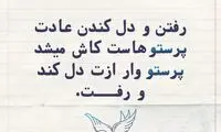 حرفِ دل، حرفِ حساب (۱۵۹)