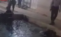 بازداشت عوامل حادثه کمپ ترک اعتیاد در شیراز