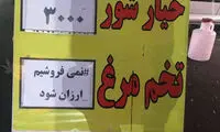 اعتراض جالب یک فروشنده به گرانی تخم مرغ