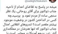 زیباکلام: تنها هنر ذوالنور، آتش‌زدن پرچم آمریکاست