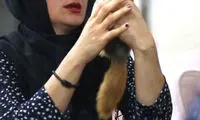 انصراف مستندی دیگر از جشنواره فیلم های کردی