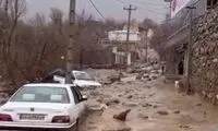 سیلاب وحشتناک در یزد خودروها را با خود برد!