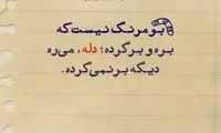 حرفِ دل، حرفِ حساب (142)