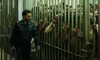 حسرت دیدن نسخه کامل «متری شیش و نیم»