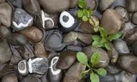 مجموعه حروف الفبای انگلیسی روی سنگ!
