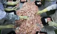 آلودگی گوشت مرغ منجمد برزیلی به کرونا